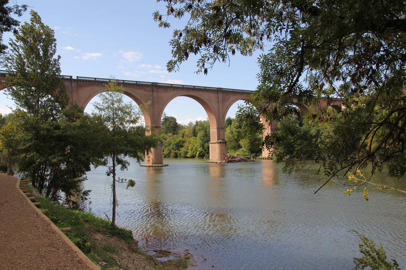 Albi